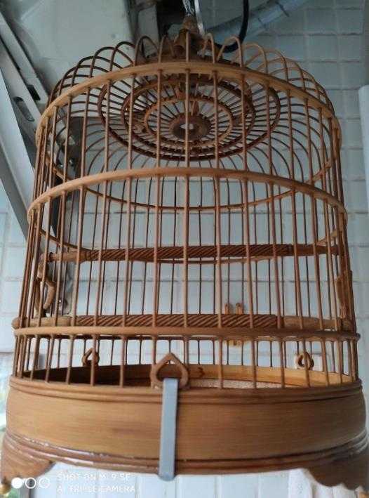 木制鸟笼